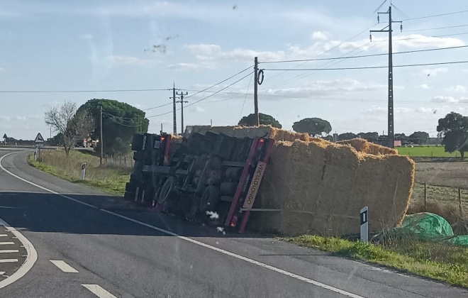 Camião carregado de palha tombou no IC1