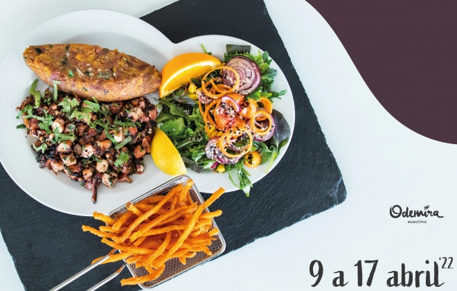 Odemira promove a partir de hoje a Semana Gastronómica do Polvo