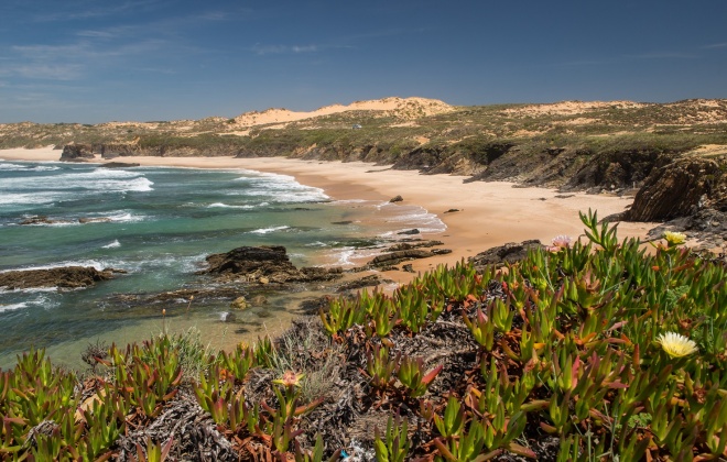 Ações de educação ambiental em Almograve e Zambujeira do Mar sobre flora nativa