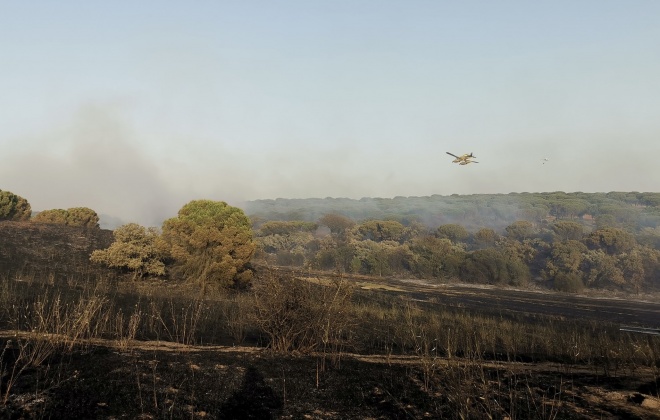 Incêndio consumiu área de pasto e mato em Alcácer do Sal