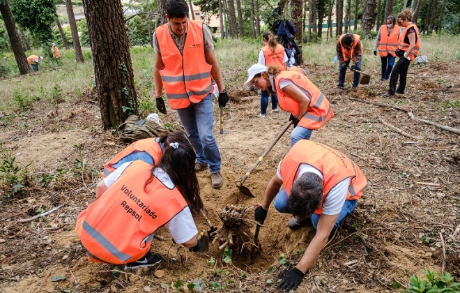 Repsol promove “Jornada Solidária” e envolve colaboradores para reforçar ação climática