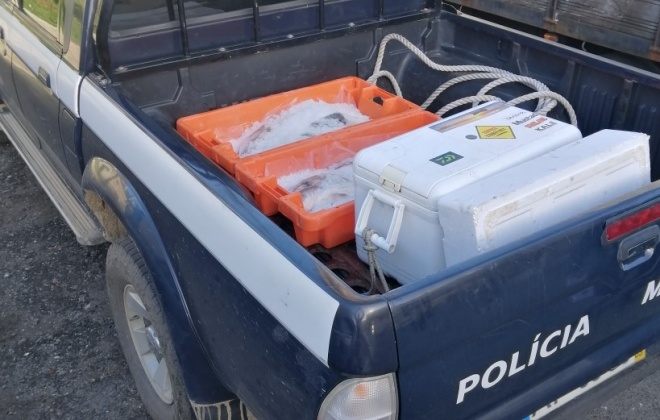 Polícia Marítima apreende 16kg de pescado e diverso material de pesca em Sines