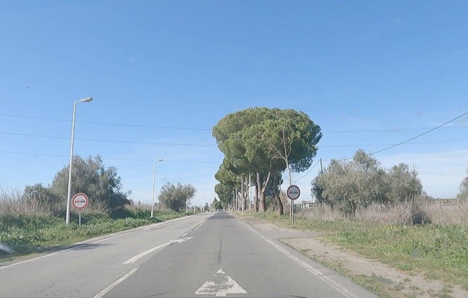 Foi lançado o concurso público para requalificar o IP8 na zona de Ferreira do Alentejo