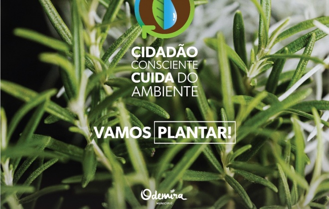 Vamos Plantar! Município de Odemira oferece árvores à população
