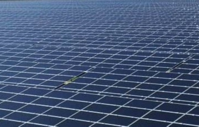 Ambientalistas contra central solar no concelho de Santiago do Cacém