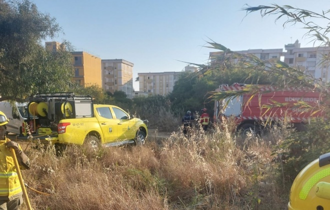 Incêndio consumiu área de pasto e mato em Sines