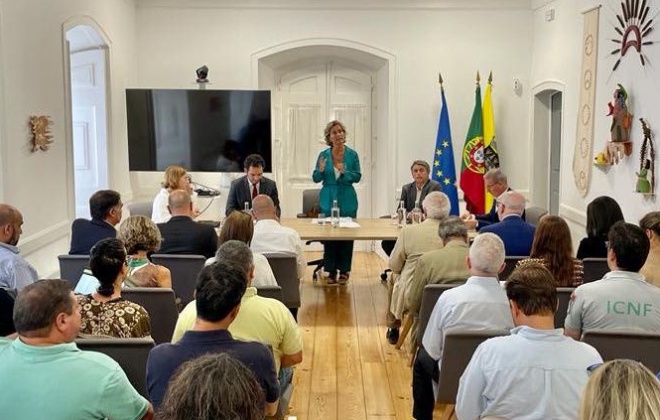 Fogo em Odemira causou prejuízos de 15 milhões de euros