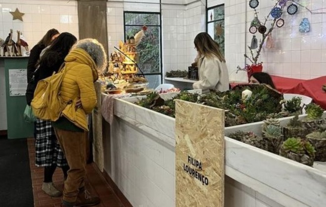 Mercado de Odemira recebe iniciativa Creative Market até sábado