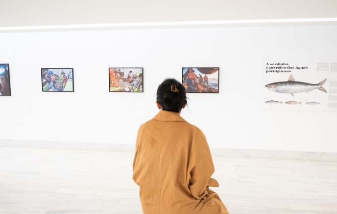 CAS organiza visitas orientadas à exposição "Sardinha, o Sem Fim da Pesca do Cerco"