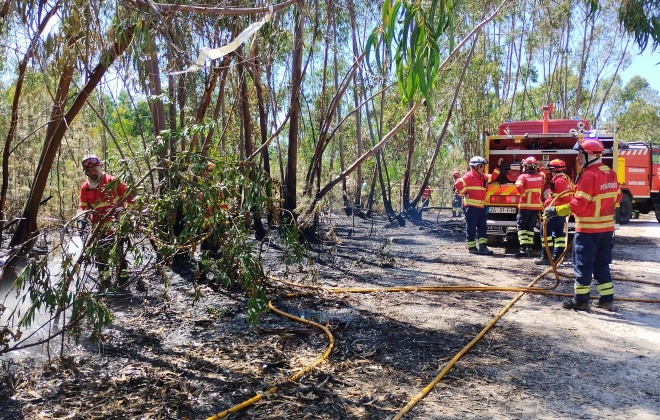 Incêndio florestal junto da Repsol em Sines já está extinto