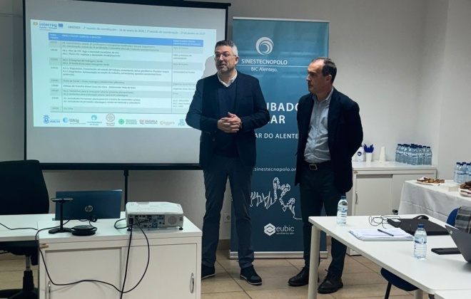 Sines recebeu consórcio do projeto Greener para impulsionar o mercado de trabalho na indústria das Energias Verdes