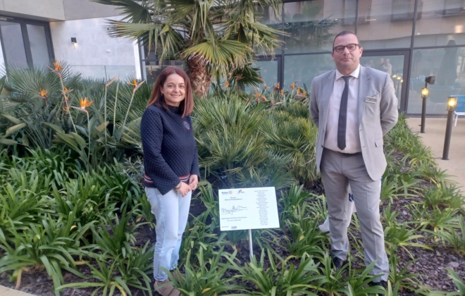 Rotary Club de Sines plantou uma árvore no âmbito do projeto "Árvore Eterna Companheira"