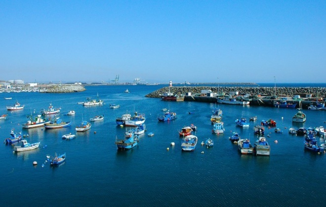 Pesca da sardinha reabre nesta segunda-feira dia 21 de abril de 2025