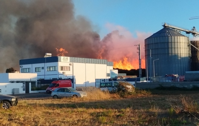 Bombeiros combatem incêndio em fábrica de "pellets" no Cercal do Alentejo