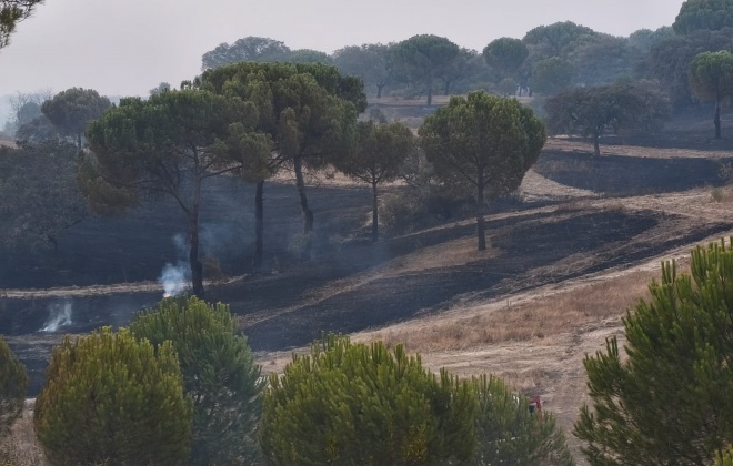 Incêndio em Vale da Eira foi provocado por uma “trovoada seca”
