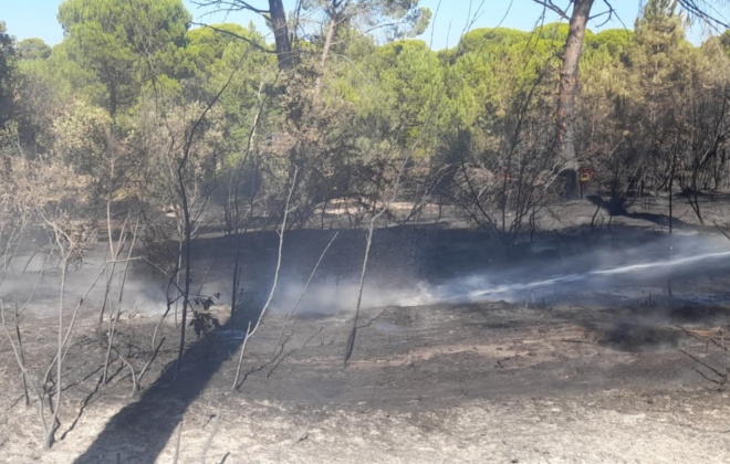 Bombeiros combateram incêndio em São Teotónio no concelho de Odemira