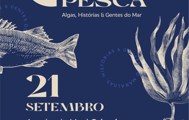 Porto da Azenha do Mar recebe no domingo a iniciativa “Porto de Pesca”
