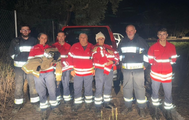 Bombeiros de Cercal do Alentejo resgatam dois cães na ETAR de Vale de Água