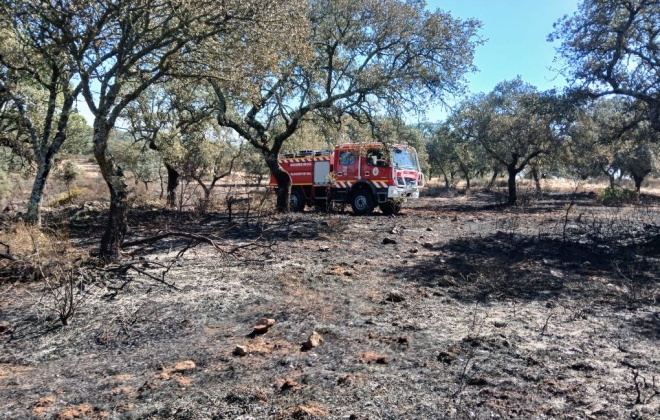 Incêndio consumiu área de povoamento florestal em Alcácer do Sal