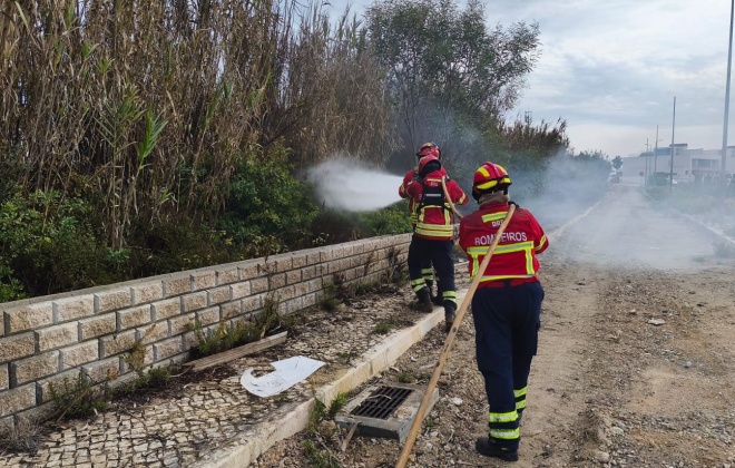 Bombeiros combateram incêndio rural em Porto Covo