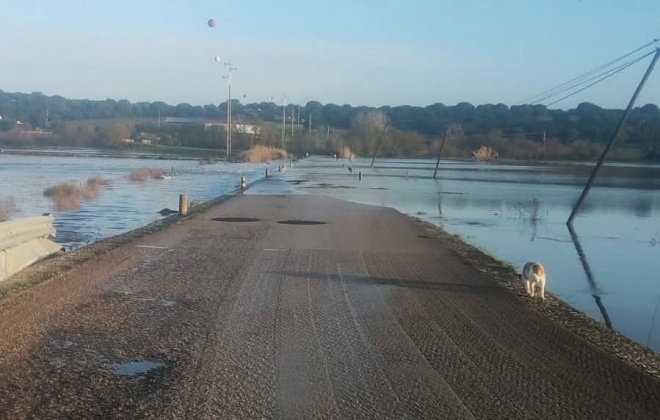 Estrada de acesso a São Romão do Sado (N262) no concelho de Alcácer do Sal encontra-se submersa