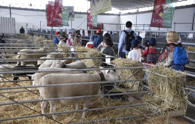 Santiagro regressa de 28 a 31 de maio a Santiago do Cacém
