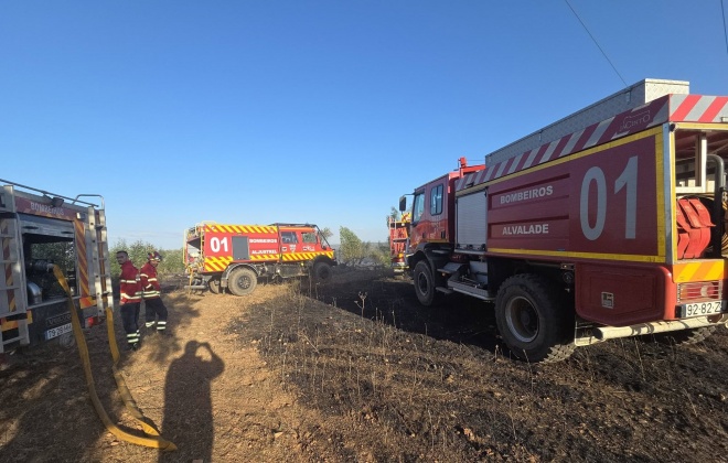 Incêndio rural consumiu área de eucaliptal no concelho de Aljustrel