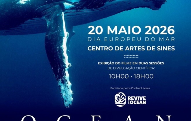 Centro de Artes de Sines assinala “Dia Europeu do Mar” nesta quarta-feira