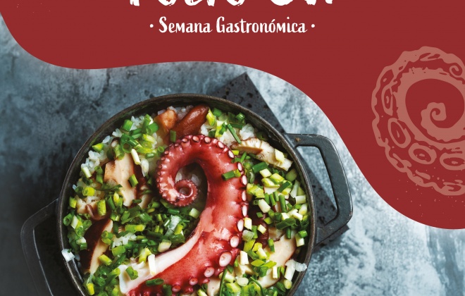 Semana Gastronómica do Polvo regressa ao concelho de Odemira entre os dias 25 e 31 de maio,