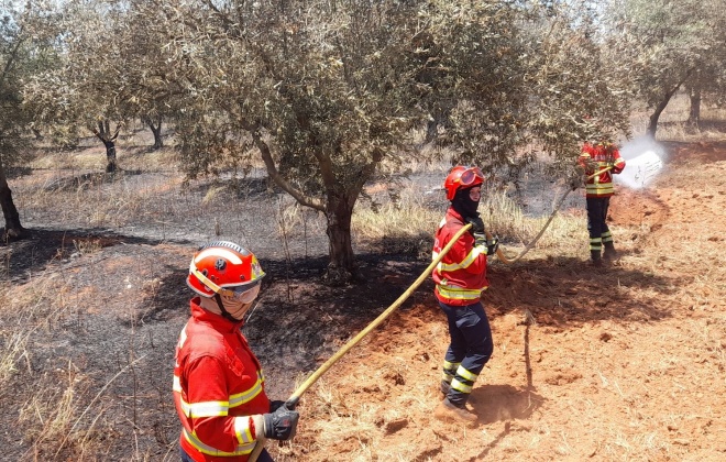 59 operacionais combateram incêndio em Relíquias no concelho de Odemira