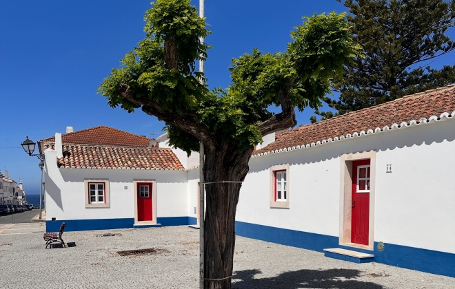 Ministério Público obriga Junta de Freguesia de Porto Covo a substituir árvores no Largo Marquês de Pombal