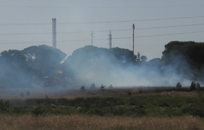 Incêndio consumiu área de pasto e mato na Esteveirinha em Sines