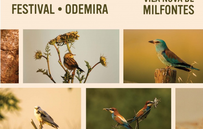 FEI-TUR – Feira de Turismo do SW recebe este ano o Festival de Aves