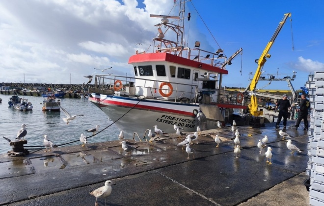 Docapesca investe 115 mil euros na modernização da Lota do Porto de Pesca de Sines
